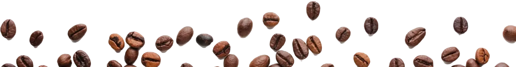 Top-Beans | Buzz Brew