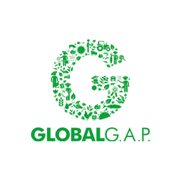 Certificates | Buzz Brew